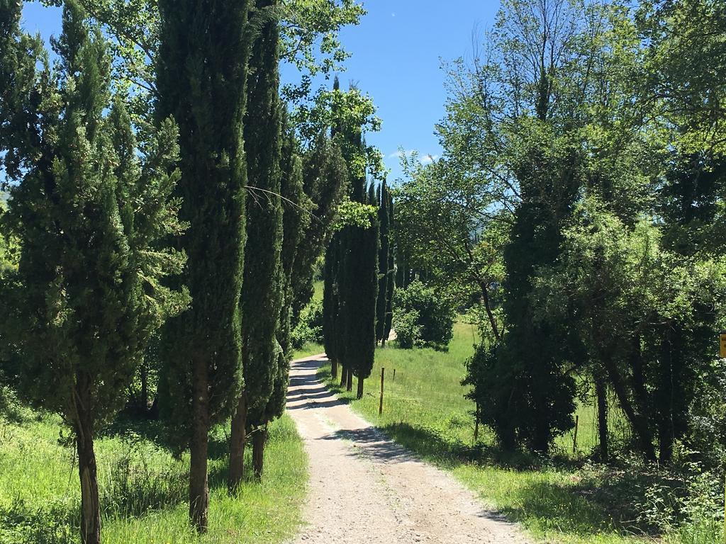 Podere Terreno Alla Via Della Volpaia ราดดา อิน เคียนติ ภายนอก รูปภาพ