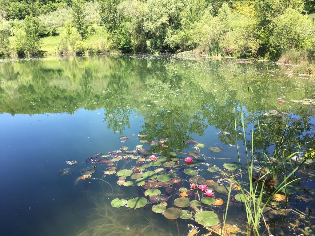 Podere Terreno Alla Via Della Volpaia ราดดา อิน เคียนติ ภายนอก รูปภาพ