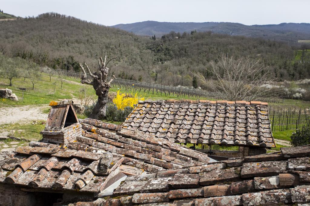 Podere Terreno Alla Via Della Volpaia ราดดา อิน เคียนติ ภายนอก รูปภาพ