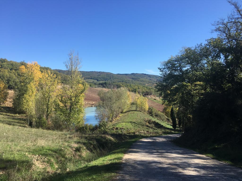 Podere Terreno Alla Via Della Volpaia ราดดา อิน เคียนติ ภายนอก รูปภาพ